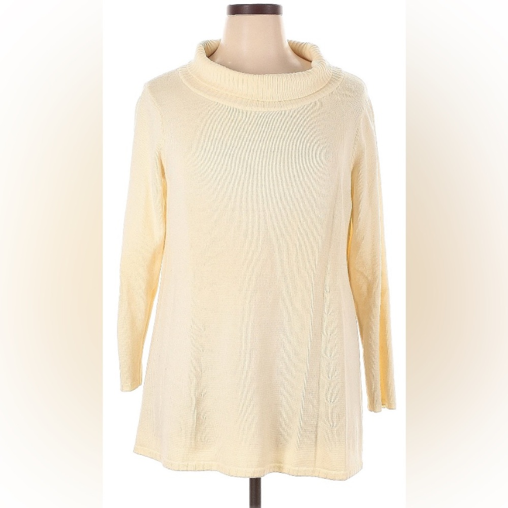 1X Eileen Fisher Merino Wool Cowl Neck Tunic Sweater